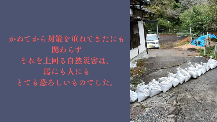 馬たちにこれからもできる限りの安全を。 水害対策を強化したい。 3枚目