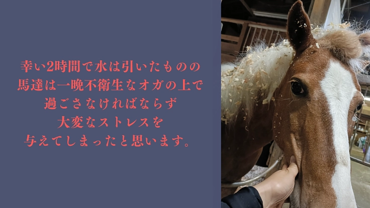 馬たちにこれからもできる限りの安全を。 水害対策を強化したい。 4枚目