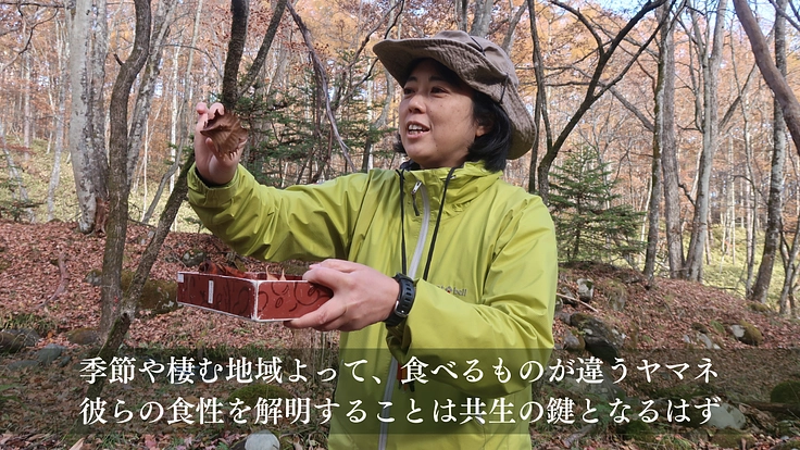 森の宝「ヤマネ」を守る。いきもの達が棲む豊かな未来をみんなで作ろう 7枚目