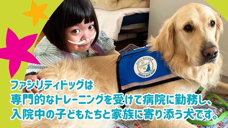 入院する子どもたちを笑顔に！ファシリティドッグ育成基金2023 2枚目