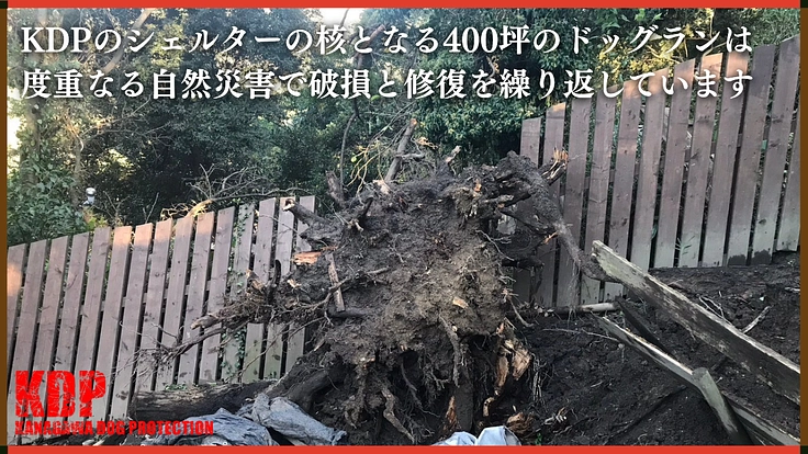 深刻な劣化が進むドッグランを大改修！KDPシェルター修繕【第二弾】 4枚目