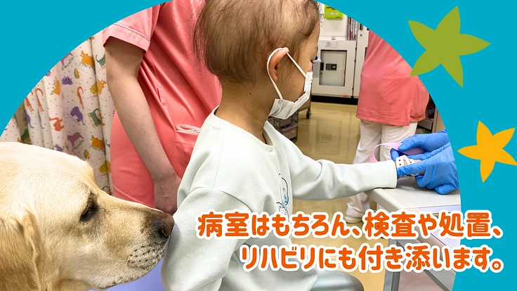 入院する子どもたちを笑顔に！ファシリティドッグ育成基金2023 3枚目