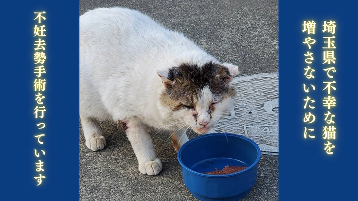 生まれた命を輝かせたい。愛してくれる家族へ繋ぐ拠点の開設を目指して 2枚目