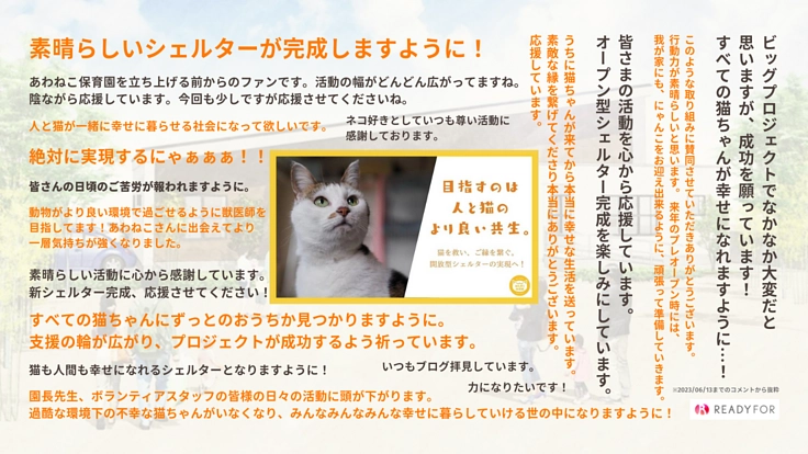 阿波の猫の殺処分ゼロを目指して。念願の開放型シェルター実現へ！ 8枚目