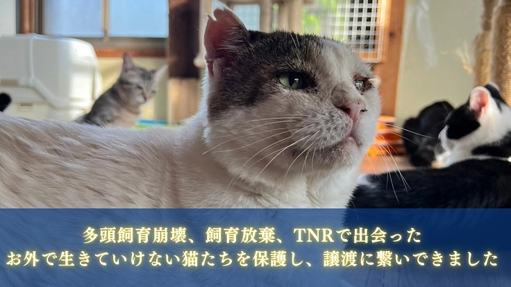 生まれた命を輝かせたい。愛してくれる家族へ繋ぐ拠点の開設を目指して 3枚目