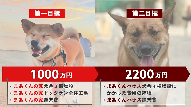 止まらない野犬の捕獲、救いたい命。最後の砦の犬舎増設にご支援を。 2枚目