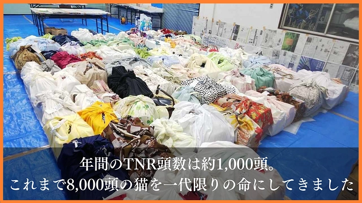 野良猫がいない未来へ｜一斉TNR会場を併設した新シェルターの開設へ 4枚目