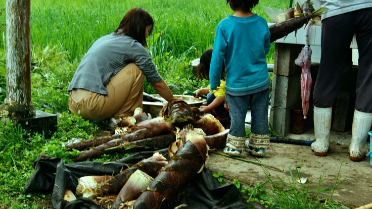 ”こどもと大人が集う”こども園の園舎を建てたい！ 9枚目