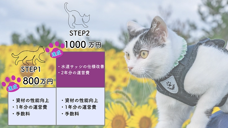 行き場を失った猫を救うため。安心して過ごせる施設を佐渡島に作りたい 10枚目
