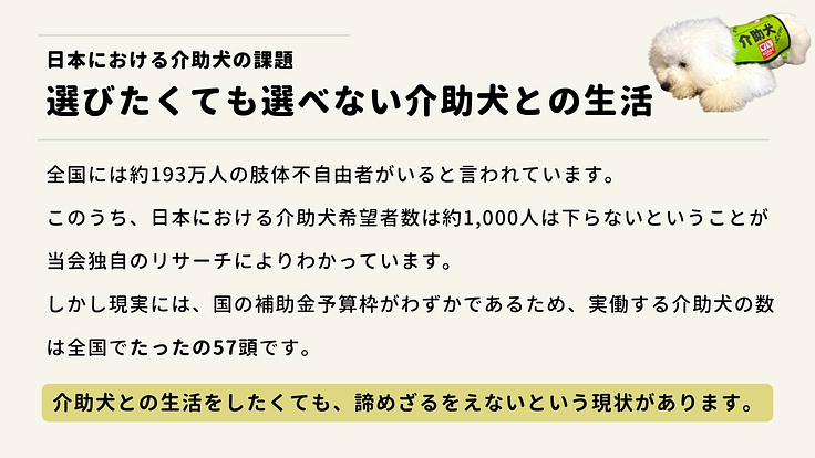 #みんなで届ける介助犬|今年は目標+3頭!介助犬の減少に歯止めを 2枚目