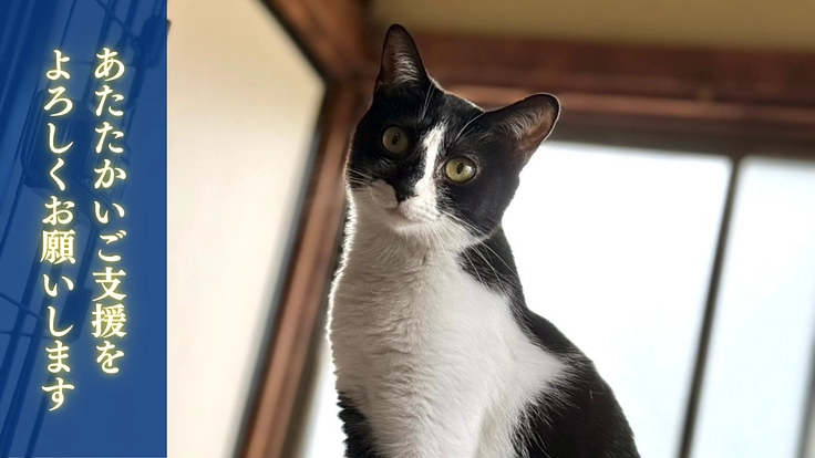 生まれた命を輝かせたい。愛してくれる家族へ繋ぐ拠点の開設を目指して 8枚目