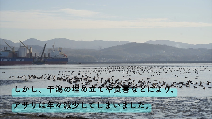 松永湾｜尾道/山波のアサリを再生し、人を繋ぐ豊かな里海を次世代へ 3枚目