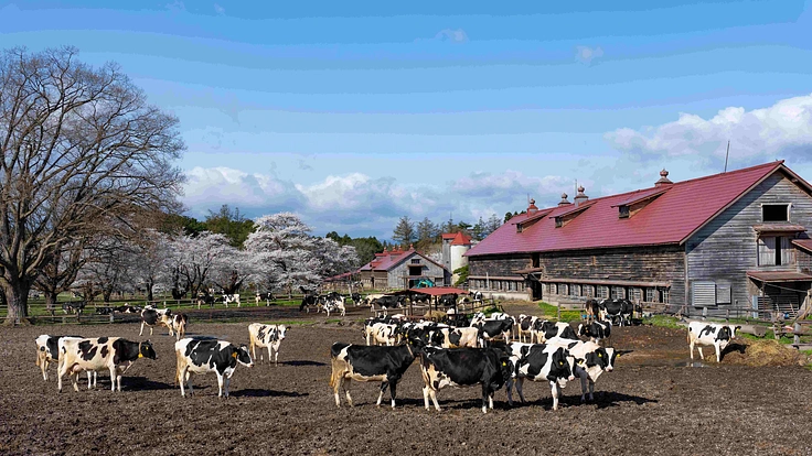 農業近代化の歴史を伝える重要文化財｜小岩井農場の建築遺産を未来へ 2枚目