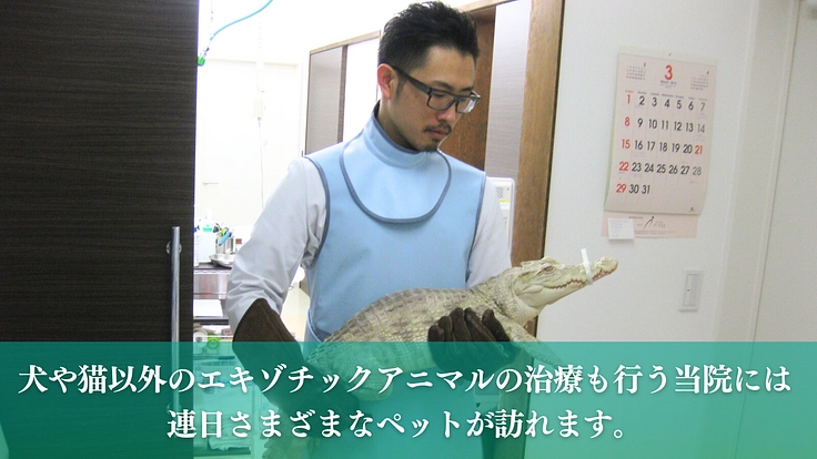 治療できず苦しむ犬猫以外の動物も救う。多くの命に寄り添う病院開設へ 2枚目