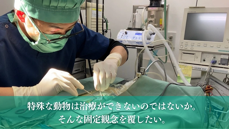 治療できず苦しむ犬猫以外の動物も救う。多くの命に寄り添う病院開設へ 3枚目