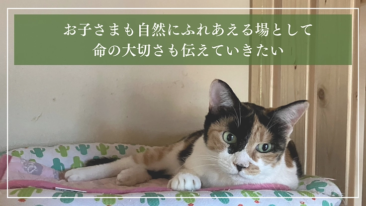 ととの森|猫と人が出会い、温かいご縁を繋ぐ「はじまりの場」の開設へ 5枚目