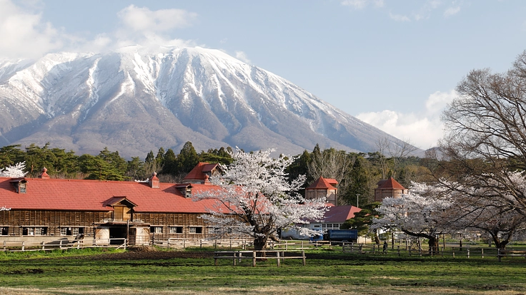 農業近代化の歴史を伝える重要文化財｜小岩井農場の建築遺産を未来へ 3枚目