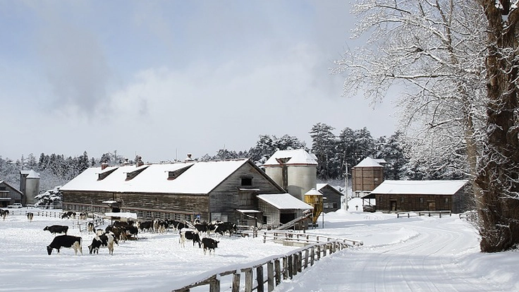 農業近代化の歴史を伝える重要文化財｜小岩井農場の建築遺産を未来へ 5枚目