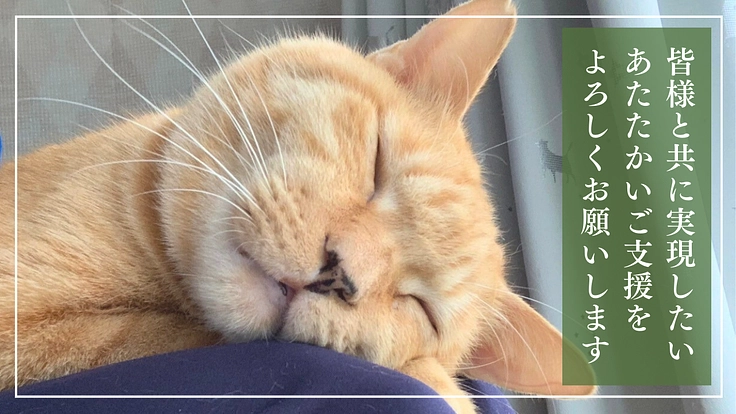 ととの森|猫と人が出会い、温かいご縁を繋ぐ「はじまりの場」の開設へ 7枚目