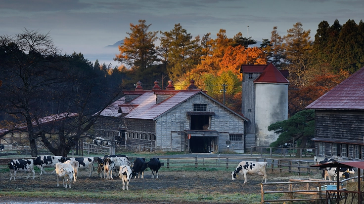 農業近代化の歴史を伝える重要文化財｜小岩井農場の建築遺産を未来へ 4枚目