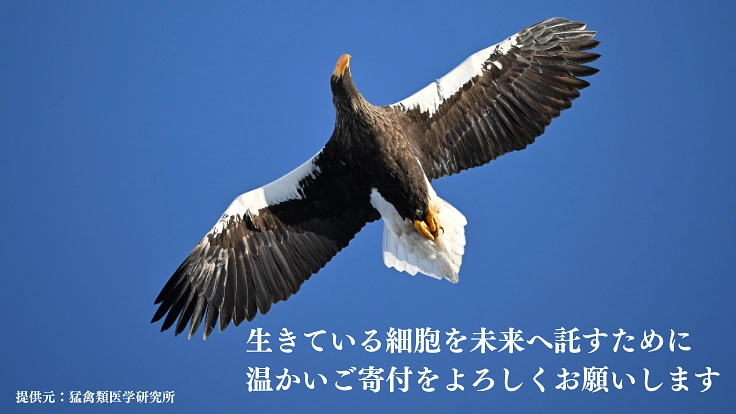 絶滅危惧種の多様性を未来に残すため、細胞保存のタイムカプセルを！ 7枚目
