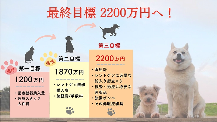 夜に聞こえる犬猫のSOSに応えたい。明日へ命を繋ぐ夜間診療所開設へ 2枚目