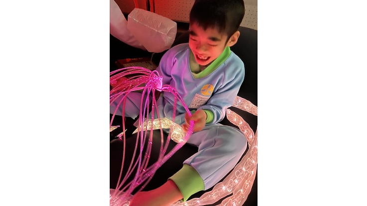 【挑戦！】知的障害のある子どもたちにスヌーズレンを届けたい 3枚目