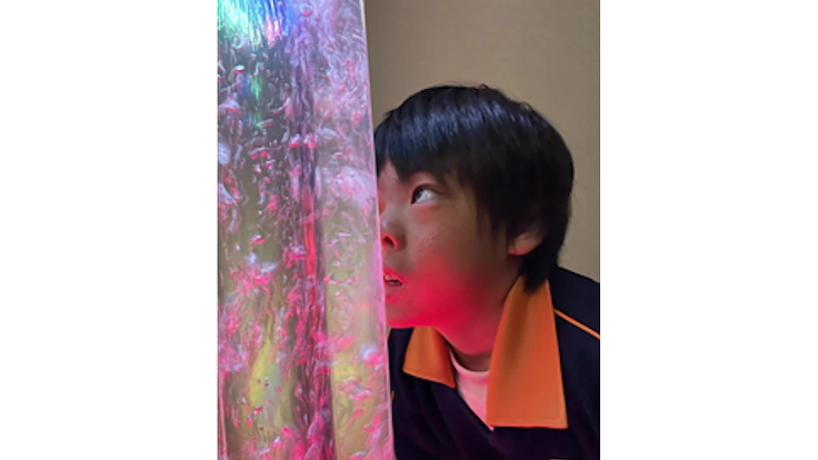 【挑戦!】知的障害のある子どもたちにスヌーズレンを届けたい 4枚目