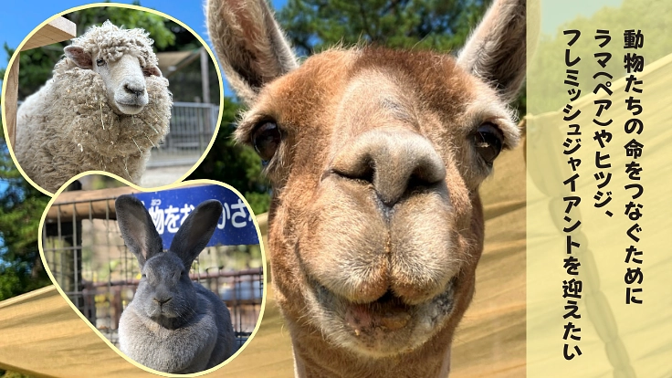 41年間みんなに愛される岡崎市東公園動物園。動物の住環境向上へ！ 3枚目