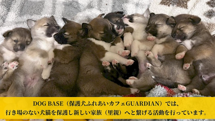 共に築く未来~皆がGUARDIANとなりこの子たちの基地の為に~ 2枚目