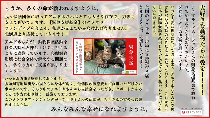 アニドネ｜1000頭の救出を支えた多頭飼育崩壊の緊急基金 再開へ！ 2枚目