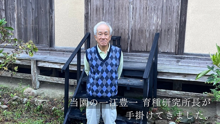 加茂荘花鳥園｜安らぎの空間を守り継ぐ。古寺周辺をアジサイの原木園に 4枚目