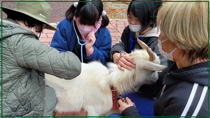 人も動物も幸せな未来へ。救えない命の為の動物診療所と里山拠点づくり 5枚目