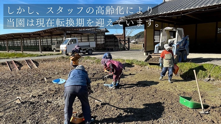 加茂荘花鳥園｜安らぎの空間を守り継ぐ。古寺周辺をアジサイの原木園に 6枚目