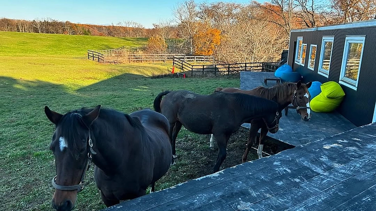 日高から全国に。馬たちの幸せな余生を願う、引退馬と呼ばない未来へ。 7枚目