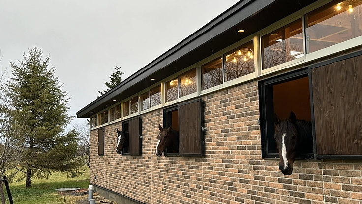 日高から全国に。馬たちの幸せな余生を願う、引退馬と呼ばない未来へ。 8枚目