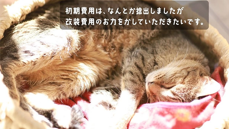 1匹でも多くの命を救うため。より広いシェルター型保護猫カフェへ 3枚目