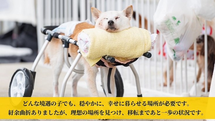 共に築く未来~皆がGUARDIANとなりこの子たちの基地の為に~ 5枚目