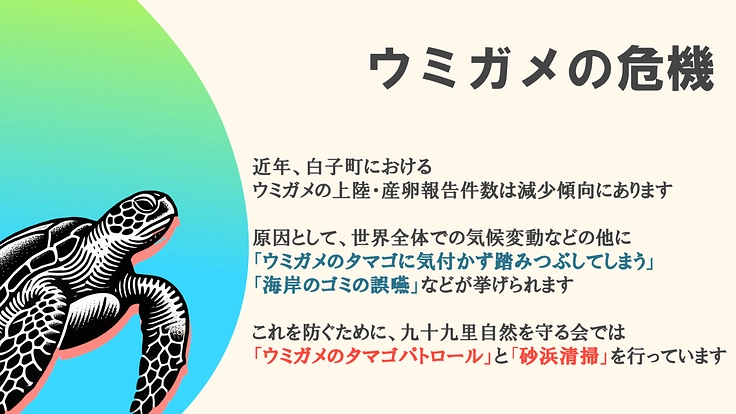【人とロボットの共存】ロボットを活用したアカウミガメの保護活動 4枚目
