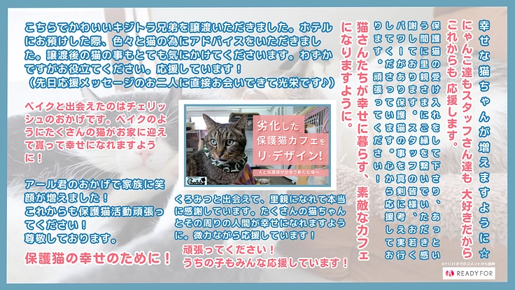 劣化した保護猫カフェをリ・デザイン！人と猫の共存を考える新たな場へ 6枚目