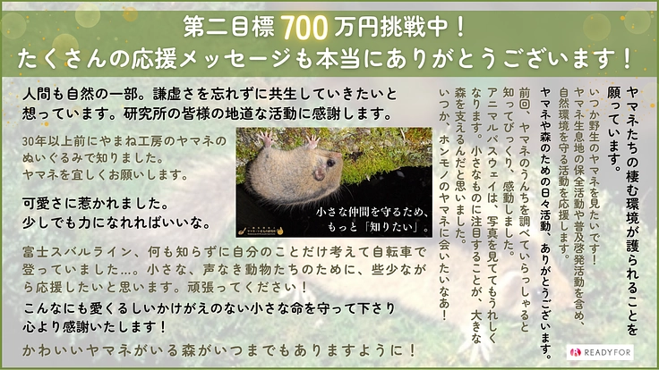 守ることは知ることから。森の象徴ヤマネと豊かな自然をともに未来へ 2枚目