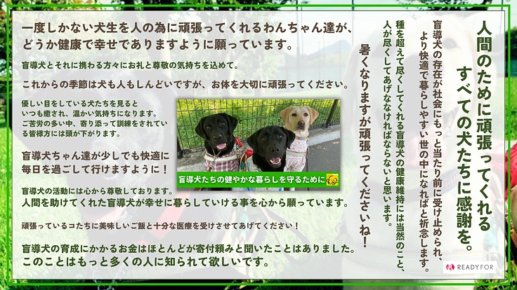 盲導犬事業を支える犬たちの健康を守る「医療費・フード費」にご支援を 2枚目
