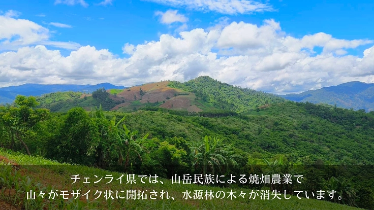 森を守ることは、生活と文化を守ること。タイの森再生プロジェクト 3枚目