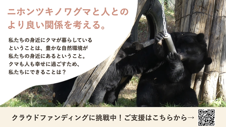 盛岡市動物公園｜ツキノワグマと人がよりよく共生できる社会を目指して 3枚目