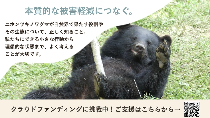 盛岡市動物公園｜ツキノワグマと人がよりよく共生できる社会を目指して 4枚目