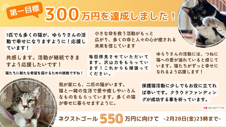 1匹でも多くの猫を幸せにしたい！│東久留米の保護猫活動にご支援を 2枚目
