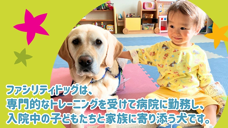 入院する子どもたちを笑顔に！ファシリティドッグ育成基金2024 2枚目