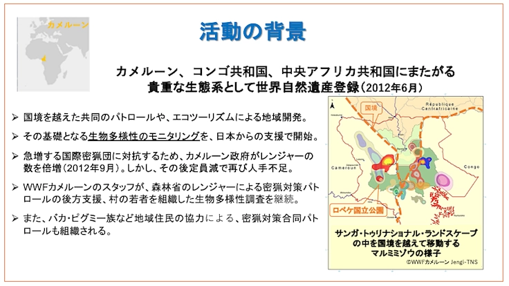 【緊急支援第２弾】マルミミゾウの楽園を密猟者の手から護りたい！！ 5枚目