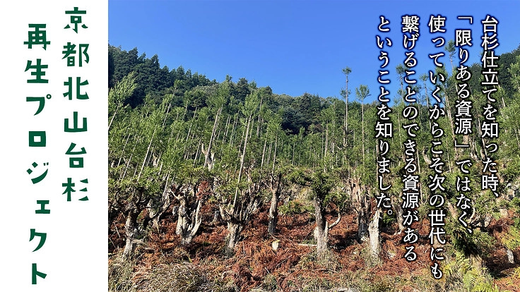 未来を描くえんぴつを!北山台杉からの贈り物を子どもたちへ! 2枚目