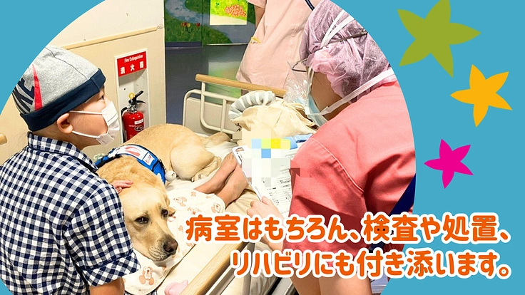 入院する子どもたちを笑顔に！ファシリティドッグ育成基金2024 3枚目